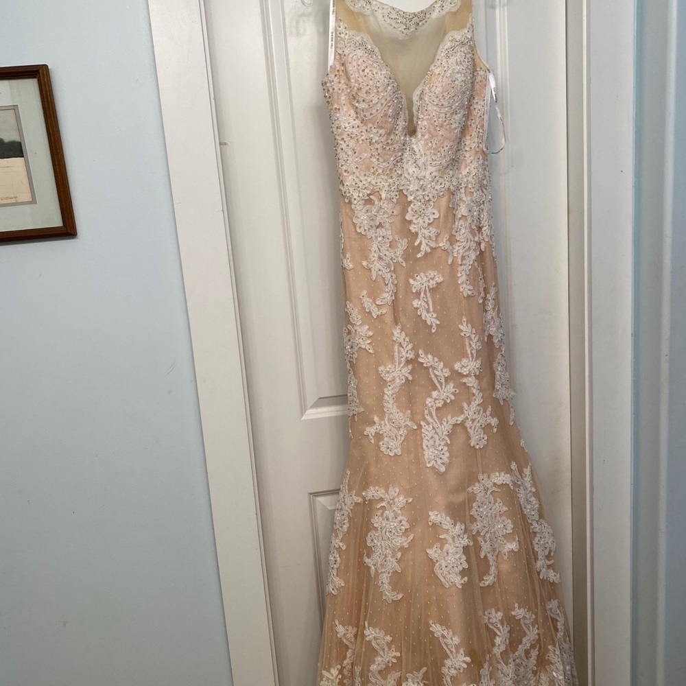 Prom Dress - Picture 4 of 7